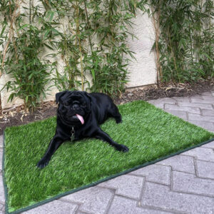 Alfombra Tapete Pasto Sintético Artificial Si-Karai 45x75