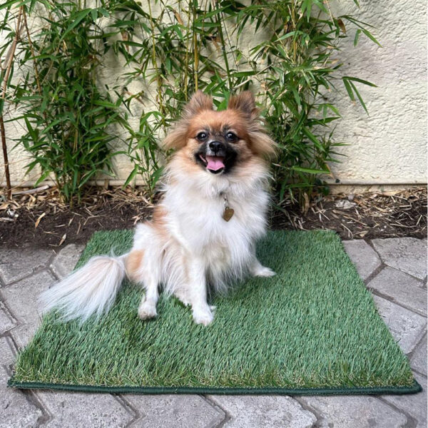 Alfombra Tapete Pasto Sintético Artificial Si-Karai 40x60
